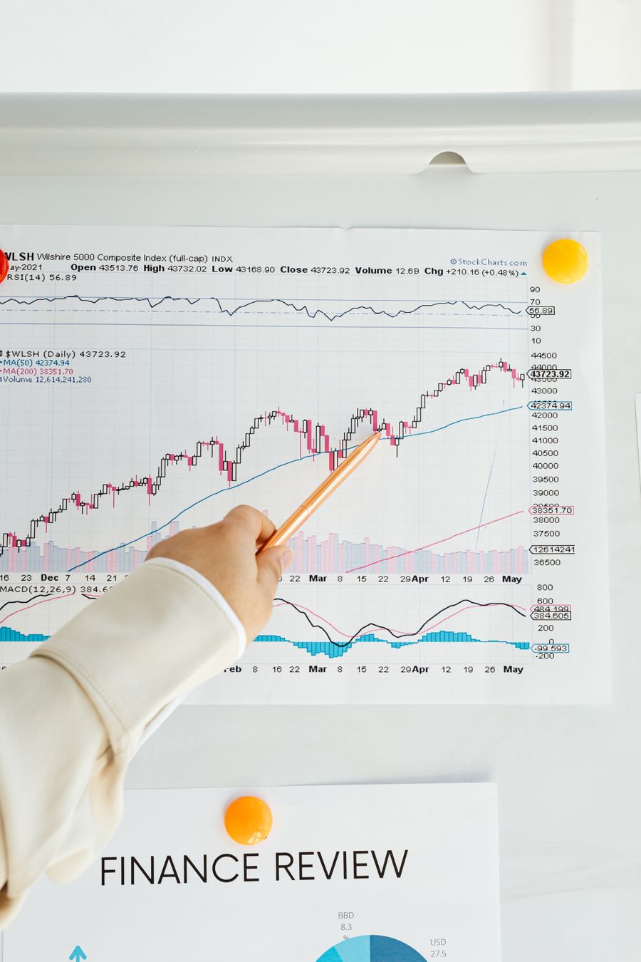 New Investor Portfolio